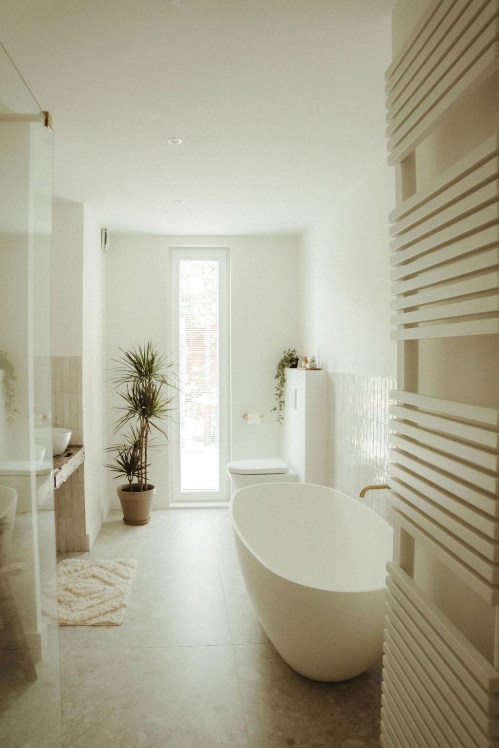 De Wilden Ezel Bed and Breakfast Mol Εξωτερικό φωτογραφία