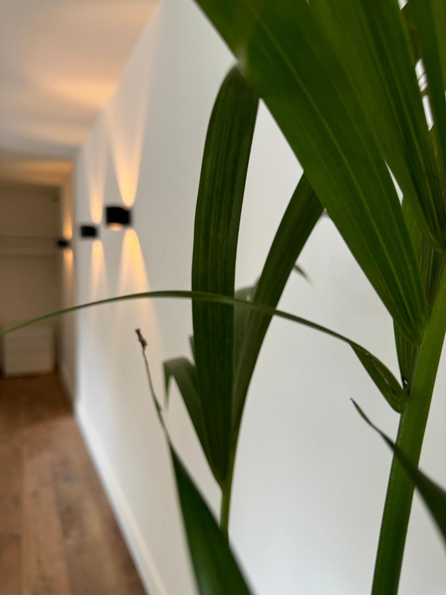 De Wilden Ezel Bed and Breakfast Mol Εξωτερικό φωτογραφία